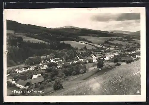 AK Feistritz a. Wechsel, Teilansicht mit Kirche