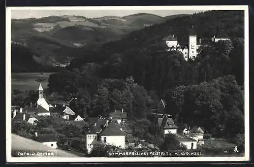 AK Feistritz am Wechsel, Panorama mit Schloss