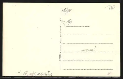 AK Wördern, Teilansicht mit Birken