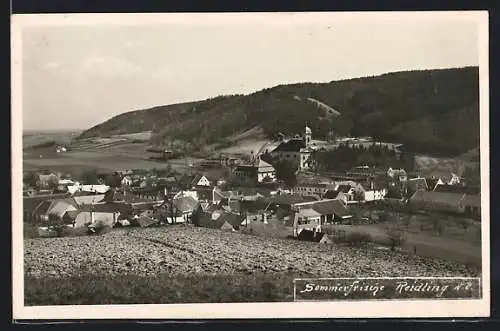 AK Reidling, Ortsansicht mit Kirche