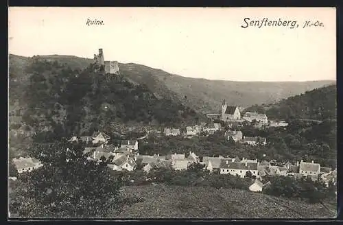 AK Senftenberg, Ortsansicht mit Blick nach der Ruine