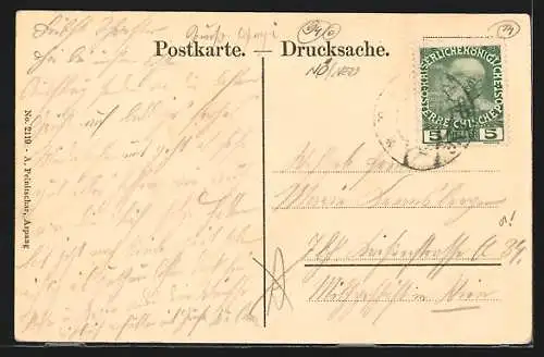 AK Aspang /N.-Ö., Panorama mit Bäumen