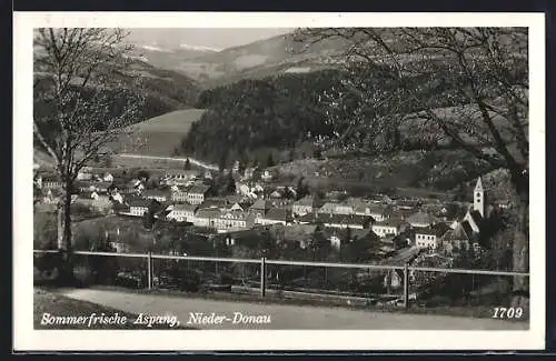 AK Aspang /Nieder-Donau, Panorama mit Kirche