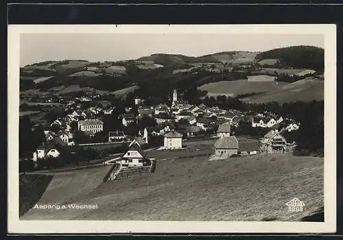 AK Aspang a. Wechsel, Panorama mit Kirche