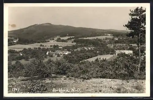 AK Buchbach, Panoramaansicht