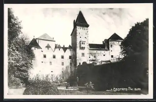 AK Feistritz a. W., Blick auf die Burg