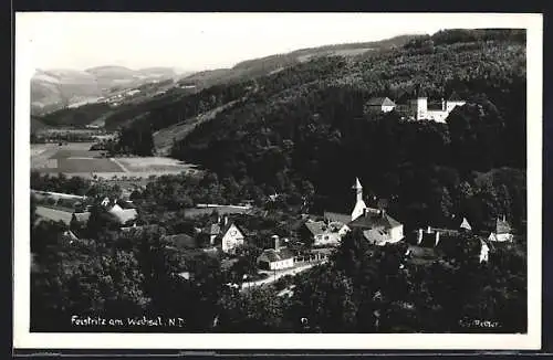 AK Feistritz am Wechsel /N.-D., Panorama mit Schloss