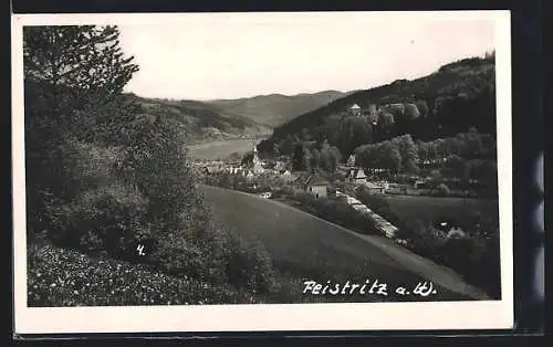 AK Feistritz a. W., Teilansicht mit Schloss