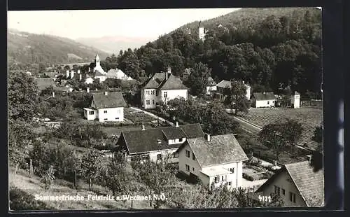 AK Feistritz a. Wechsel /N.-Ö., Teilansicht mit Kirche