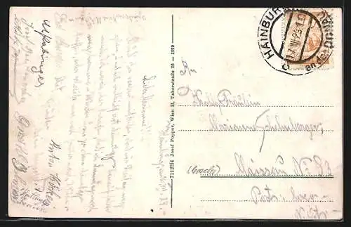 AK Hainburg, Blick über den Fluss zum Ort