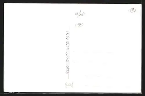 AK Unken, Teilansicht mit Loferer Steinbergen