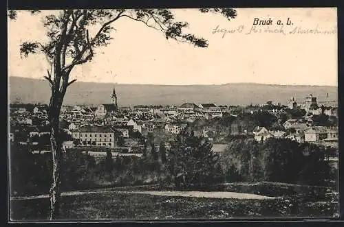 AK Bruck a. L., Panorama mit Kirche