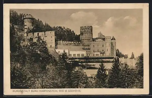 AK Hartenstein, Kuranstalt Burg Hartenstein