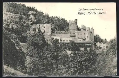 AK Weinzierl am Walde, Kaltwasserheilanstalt Burg Hartenstein