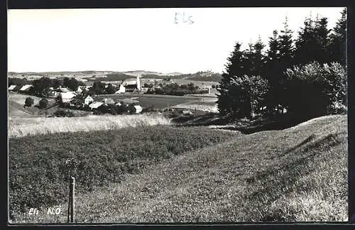 AK Els /N.-Ö., Teilansicht mit Bäumen