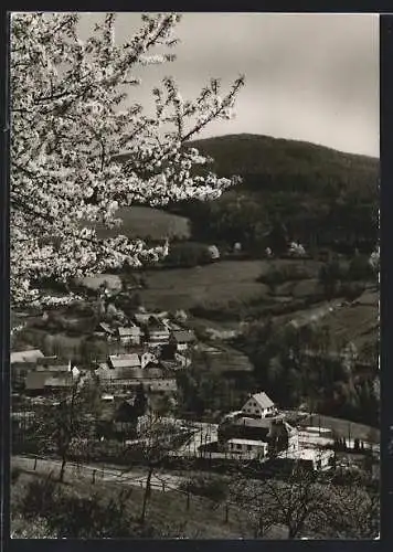 AK Winkel /Odenwald, Ortsansicht aus der Vogelschau