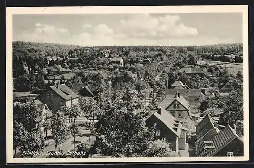 AK Friedrichsbrunn /Harz, Gesamtansicht