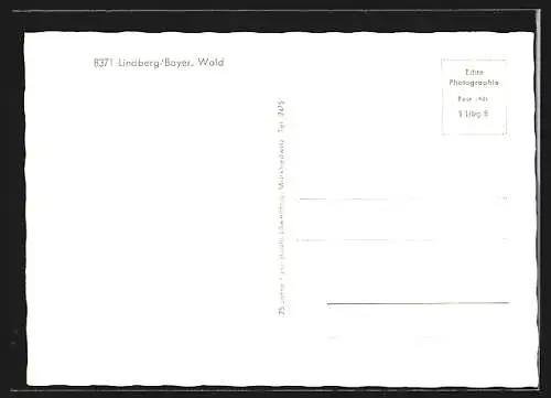 AK Lindberg /Bayer. Wald, Ortsansicht von einem Berg aus