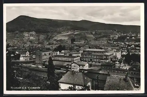 AK Neustadt a. d. Weinstrasse, Ortsansicht aus der Vogelschau