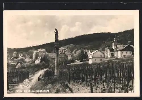 AK Wien-Salmannsdorf, Panorama