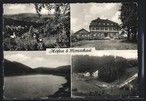 AK Höfen b. Monschau, Müttererholungsheim St. Josefheim und Umgebung