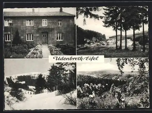 AK Udenbreth /Eifel, Pension Haus Bergfriede und drei Ansichten der Umgebung