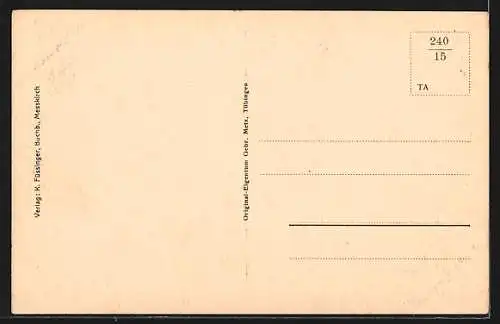 AK Messkirch, Ortspanorama mit Kirche