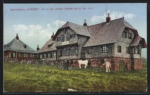 AK Stubalmhaus Gaberl mit Kühen