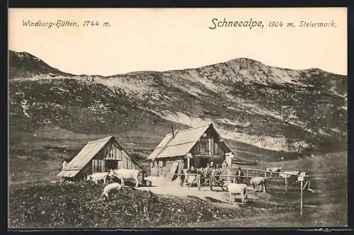 AK Windberg-Hütten, Kühe vor der Hütte, Schneealpe