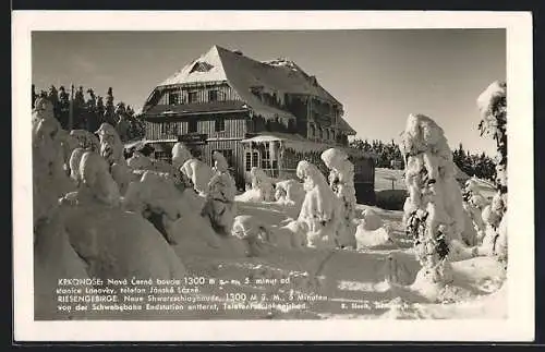 AK Riesengebirge, Neue Schwarzschlagbaude