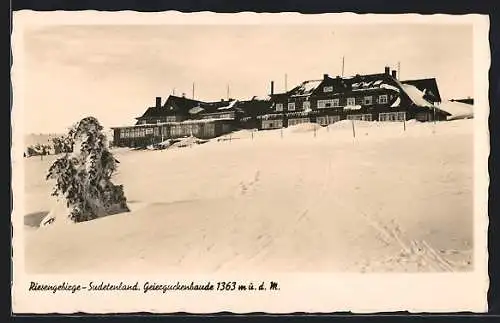 AK Geierguckenbaude im Riesengebirge-Sudetenland im tiefen Winter