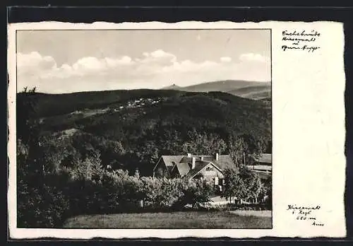 AK Kiesewald im Riesengebirge, Blick zur Dachsbaude mit Schneekoppe