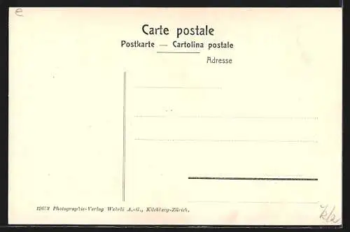 AK Walzenhausen, Ortspanorama mit Blick auf den Bodensee