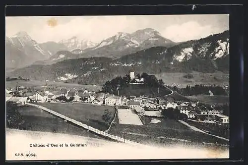 AK Chateau-d`Oex, Vue Générale et la Gumfluh