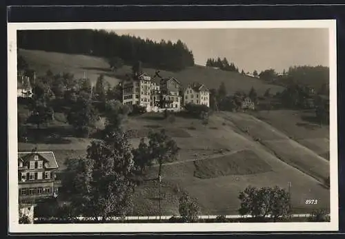 AK Walzenhausen, Ortspartie mit Gasthaus und Pension z. frohen Aussicht