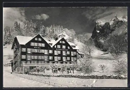 AK Grindelwald, Hotel Schweizerhof