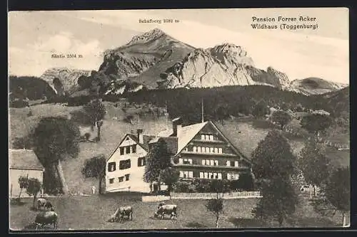 AK Wildhaus, Hotel-Pension Forrer Acker mit Blick auf Säntis und Schafberg