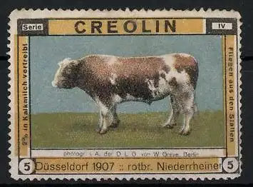 Reklamemarke Kuh steht auf einer Wiese, Creolin Kalkmilch, Düsseldorf 1907