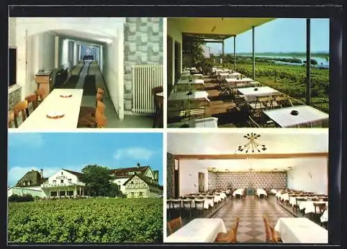 AK Mittelheim /Rheingau, Hotel Rheinterrasse Ruthmann