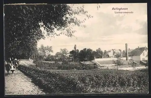 AK Kellinghusen, Blick auf die Liethpromenade