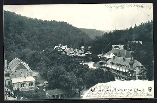 AK Alexisbad /Harz, Ortsansicht aus der Vogelschau
