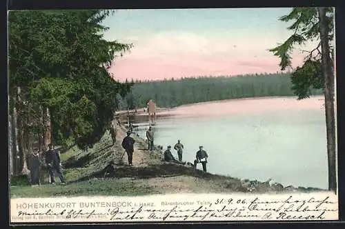 AK Buntenbock /Harz, Bärenbrucher Teich mit Uferweg