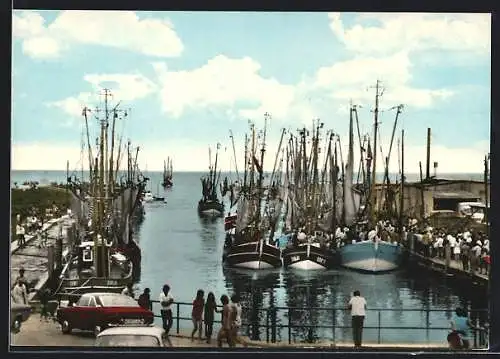 AK Dorum, Hafen mit angelegten Fischkuttern am Dorum Tief
