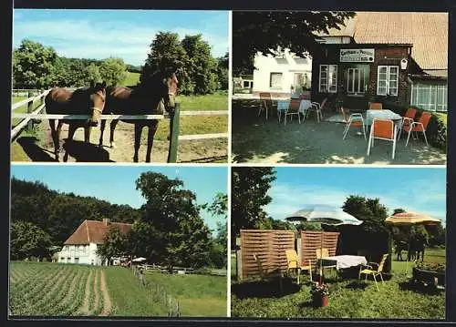 AK Bökensberg-Kasseedorf, Gasthaus-Pension H. Dittmann mit Garten, Terrasse und Pferdekoppel