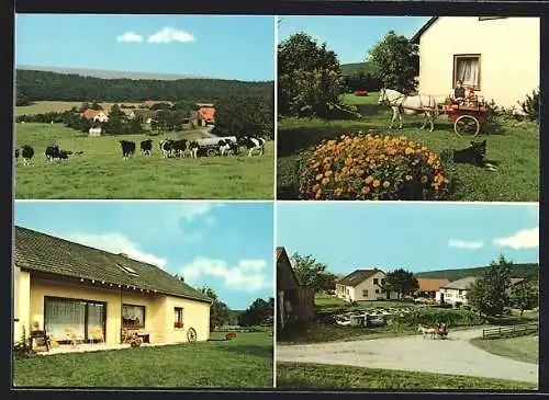 AK Auetal /Weserbergland, Ferienbauernhof Siegfried Kirchner, Bodenerngern 9, Kinder mit Ponywagen, Wiese mit Kühen