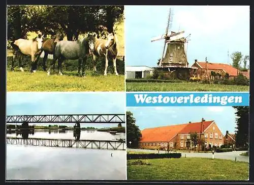 AK Westoverledingen, weidende Pferde, Windmühle, Emsbrücke und ostfriesischer Bauernhof