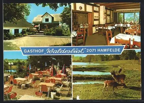 AK Hamfelde, Gasthof Waldeslust mit Innenansicht und Terrasse, röhrender Hirsch