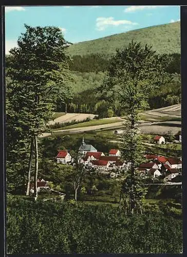 AK Densberg im Kellerwald, Teilansicht mit Kirche vorm Waldgebiet