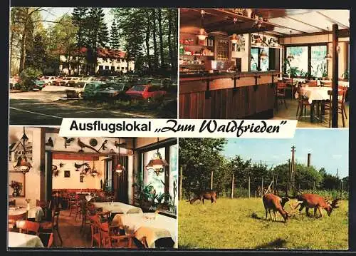 AK Havixbeck /Westf., Gasthaus Zum Waldfrieden Schulz-Hülsmann, Innenansichten