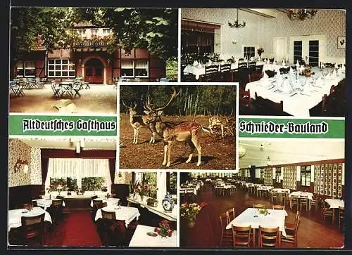 AK Coesfeld i. Westfalen, Altdeutsches Gasthaus Schnieder-Bauland, Sirksfeld 10